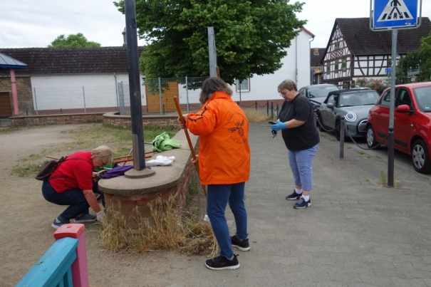 Klicken für Bild in voller Größe